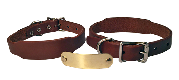 Beagle collars online