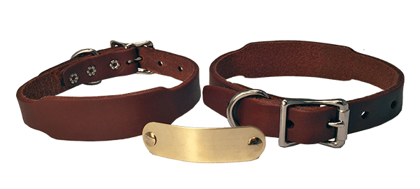 Omnipet LCS Beagle Collar – Hunting Dog Supply