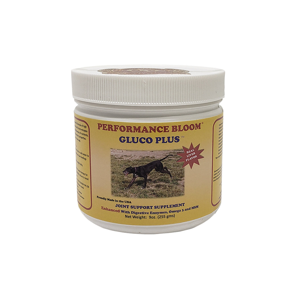 Bloom Products Dog Bloom Performance Gluco Plus