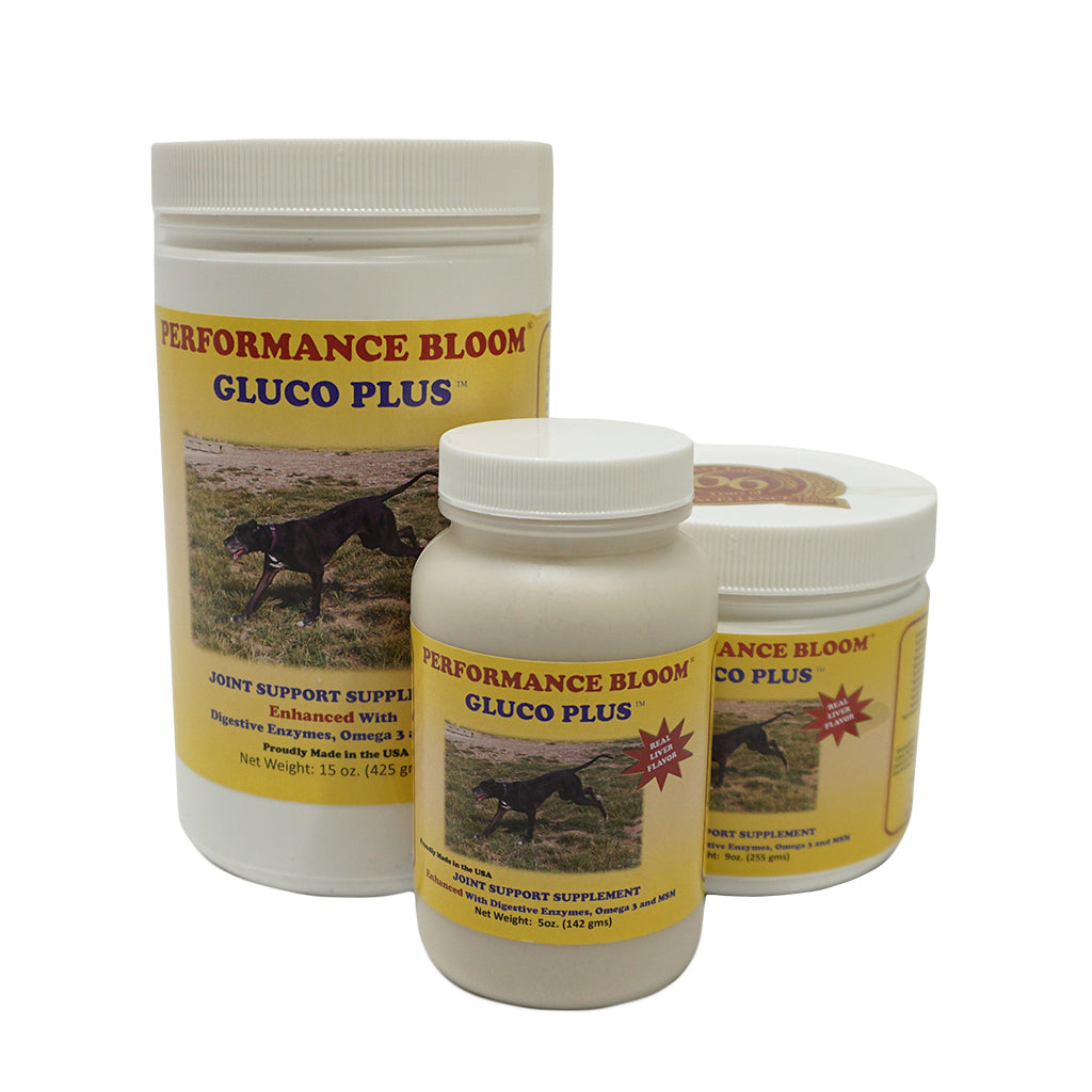 Bloom Dog Products Bloom Products Dog Bloom Performance Gluco Plus – Hunting Dog Supply