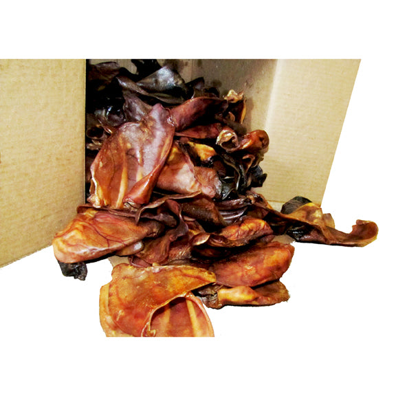 Bradley Caldwell LCS Pig Ears – Hunting Dog Supply