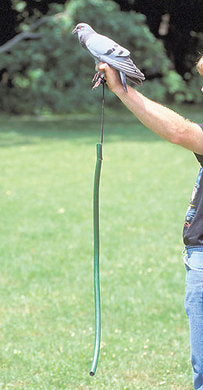 Lion Country Supply Pigeon Hobbles – Hunting Dog Supply