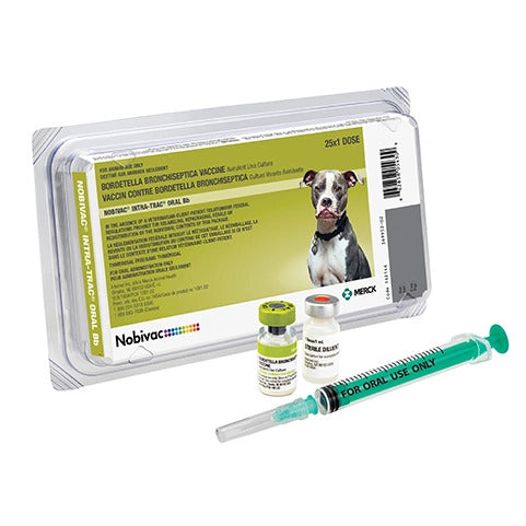 Nobivac IntraTrac Oral Bb Kennel Cough Vaccine