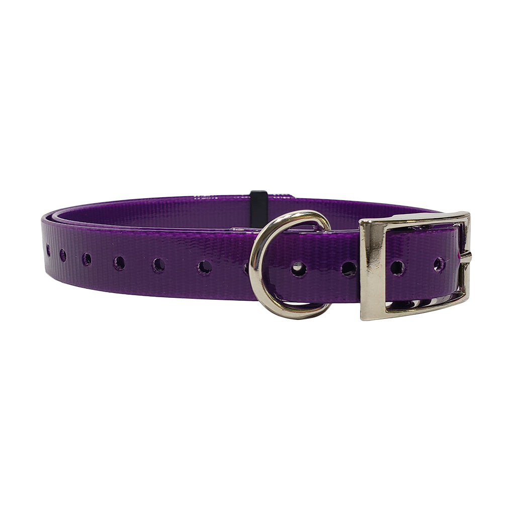 3/4 inch E-Collar Replacement Strap