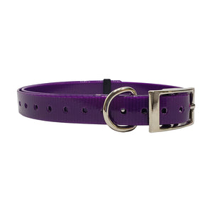 3/4 inch E-Collar Replacement Strap