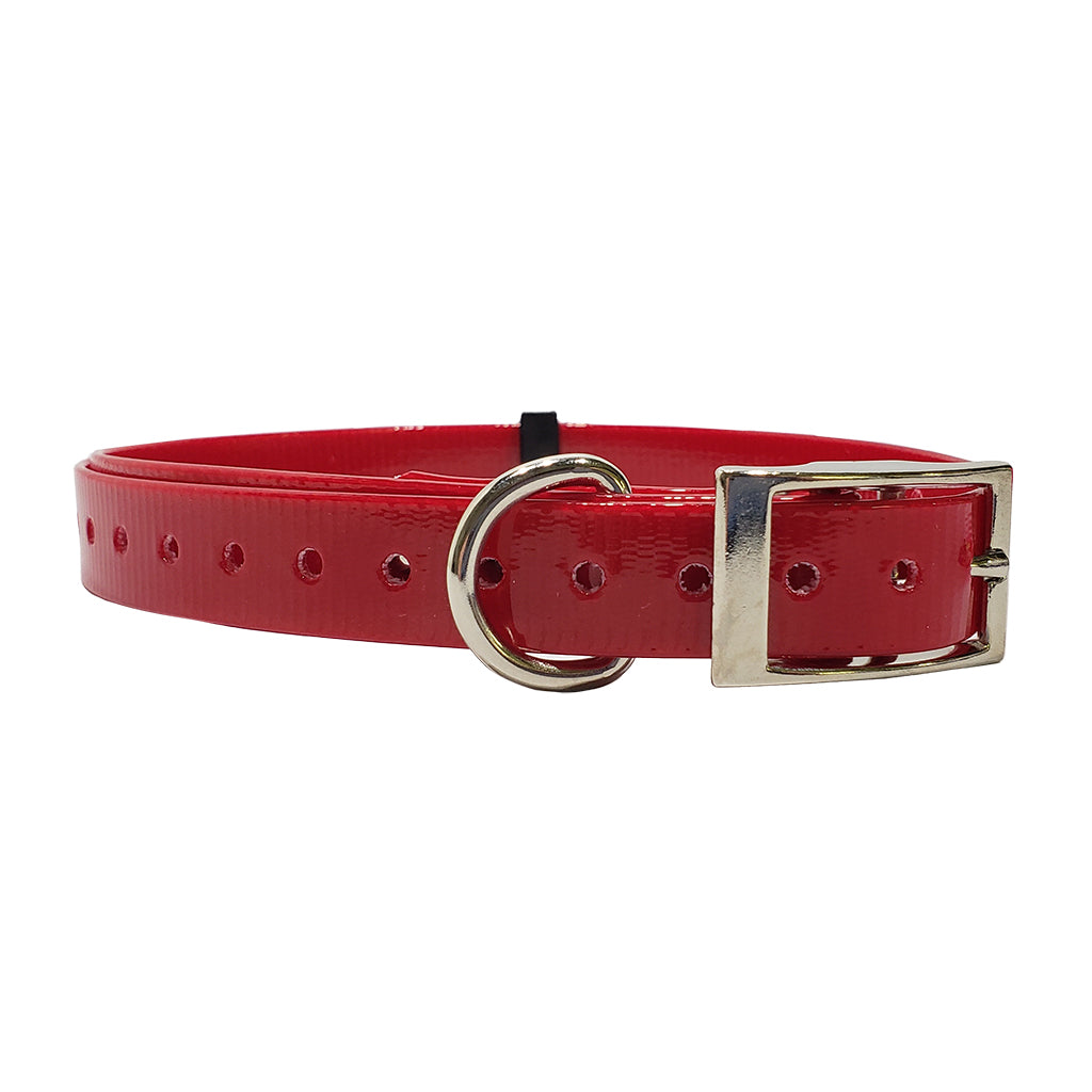 3/4 inch E-Collar Replacement Strap