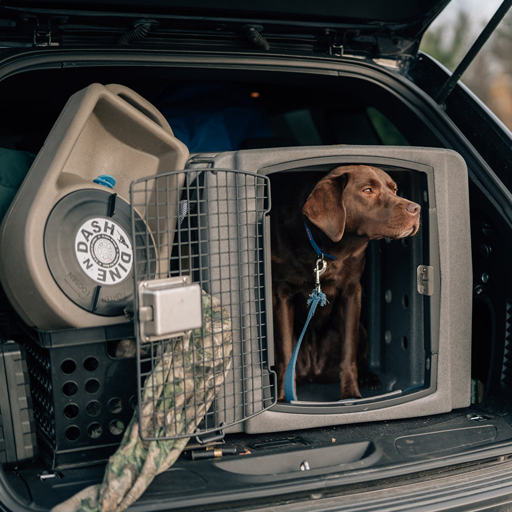 Dakota 283 Dine 'N Dash