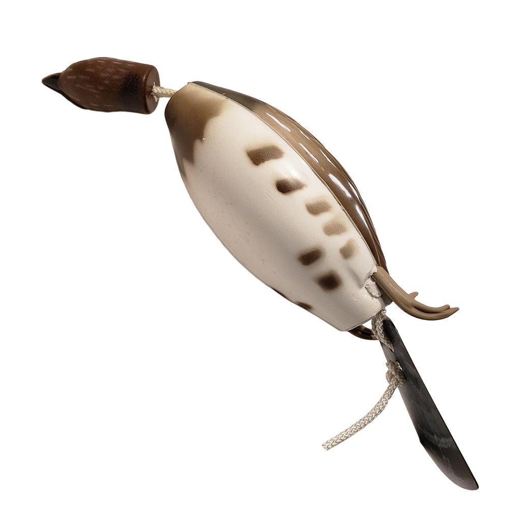 Dead Fowl Ruffed Grouse