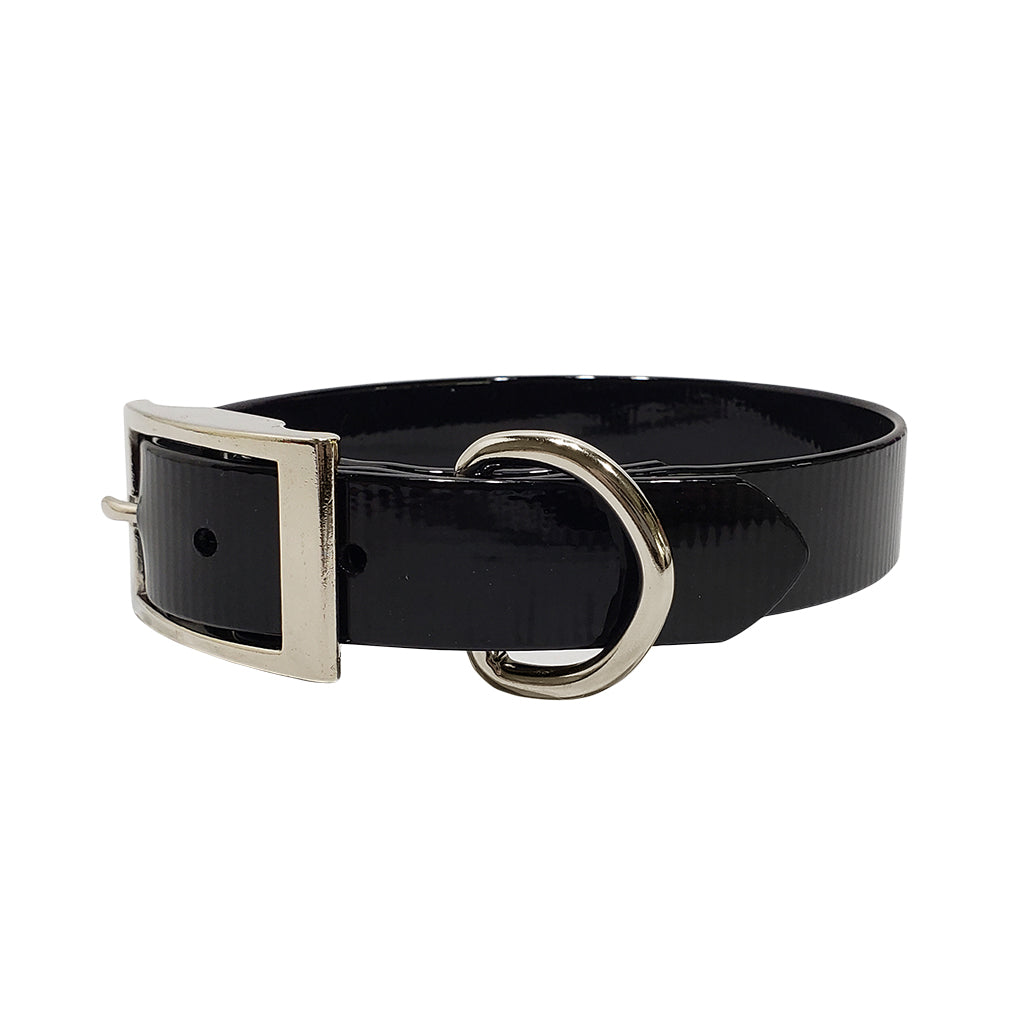 LCS Dayglo 1 Inch D-Ring Collar