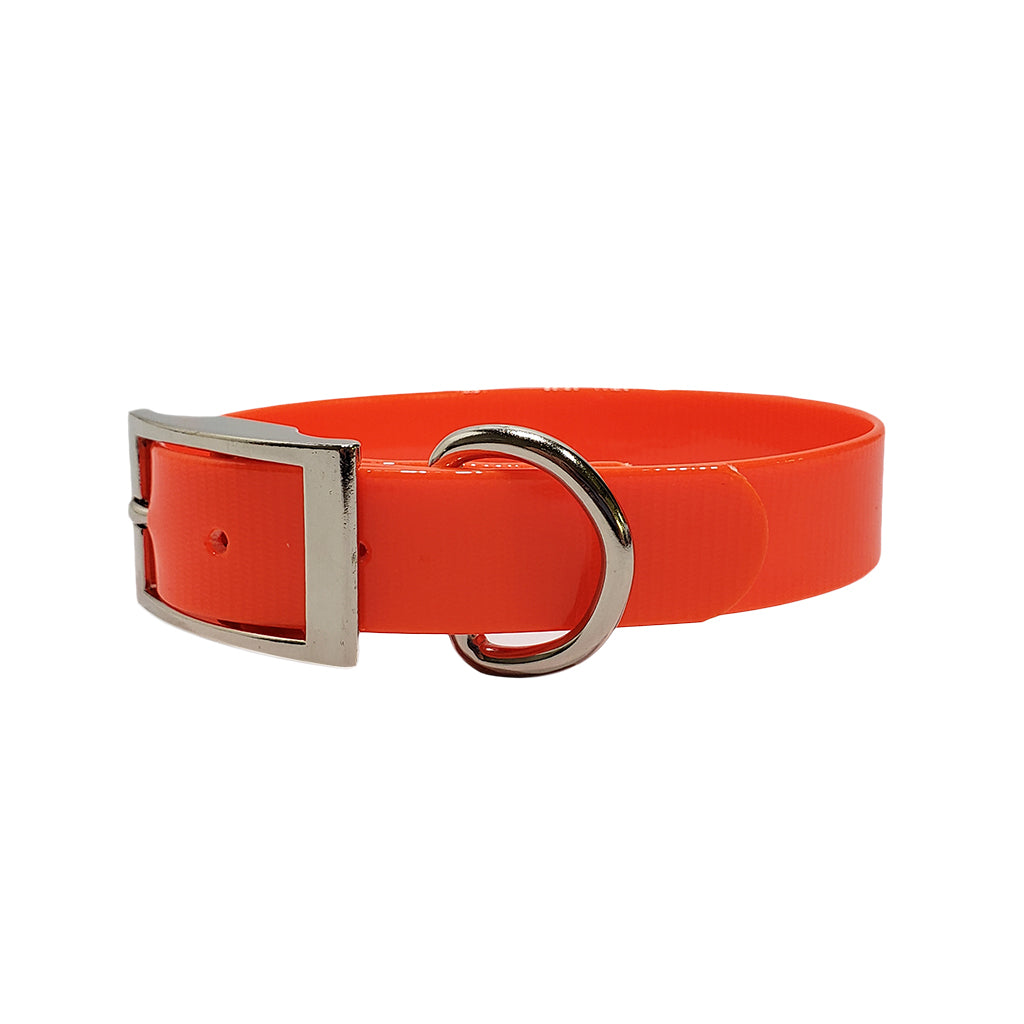 LCS Reflective Dayglo 1 Inch D-Ring Collar