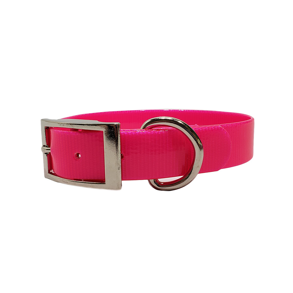 LCS Dayglo 1 Inch D-Ring Collar
