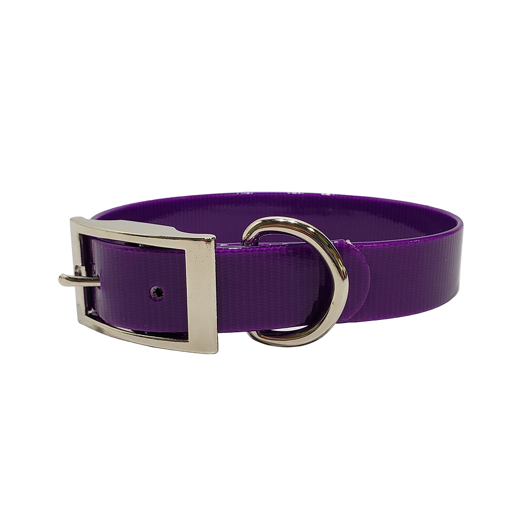 LCS Dayglo 1 Inch D-Ring Collar
