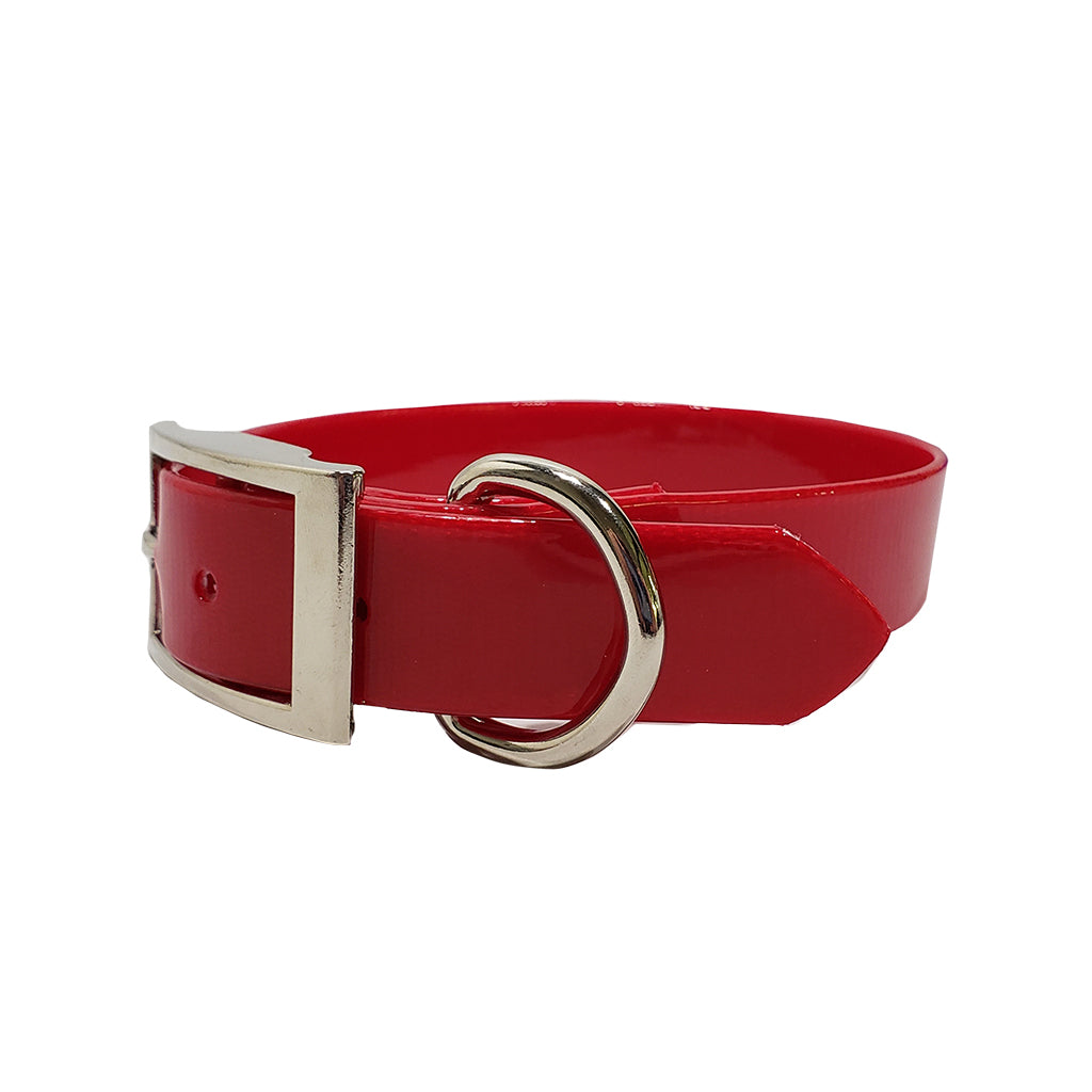 LCS Dayglo 1 Inch D-Ring Collar