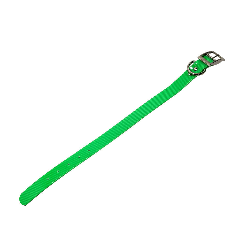 LCS Dayglo 1 Inch D-Ring Collar