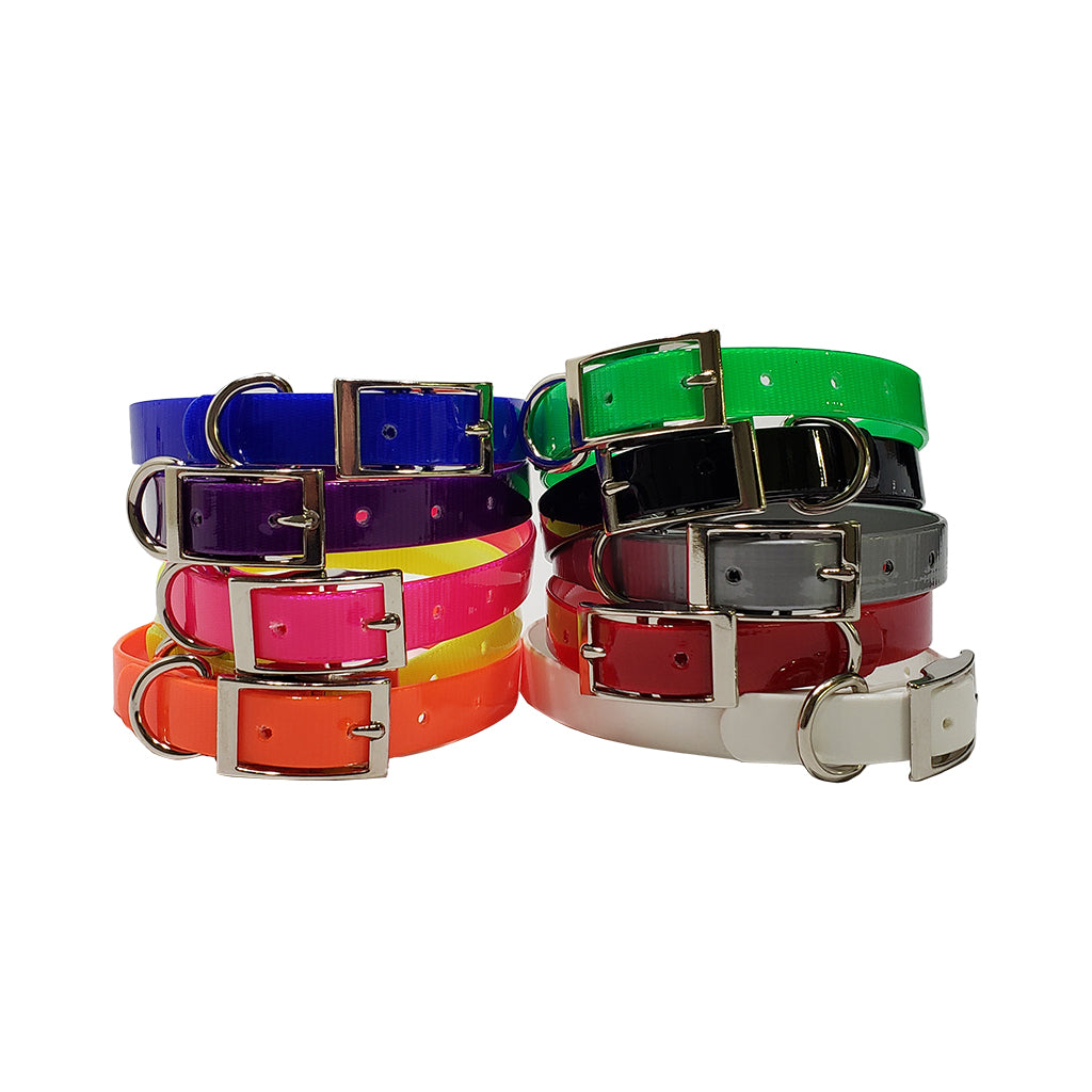 LCS Dayglo 3/4 Inch D-Ring Collar