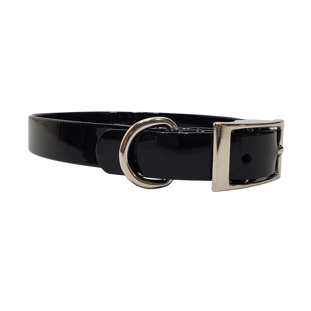 LCS Dayglo 3/4 Inch D-Ring Collar