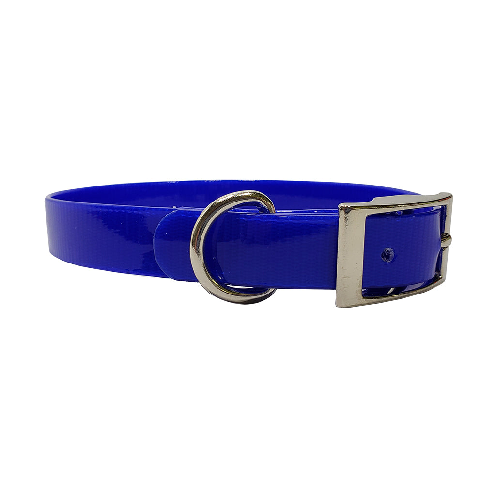 LCS Dayglo 3/4 Inch D-Ring Collar