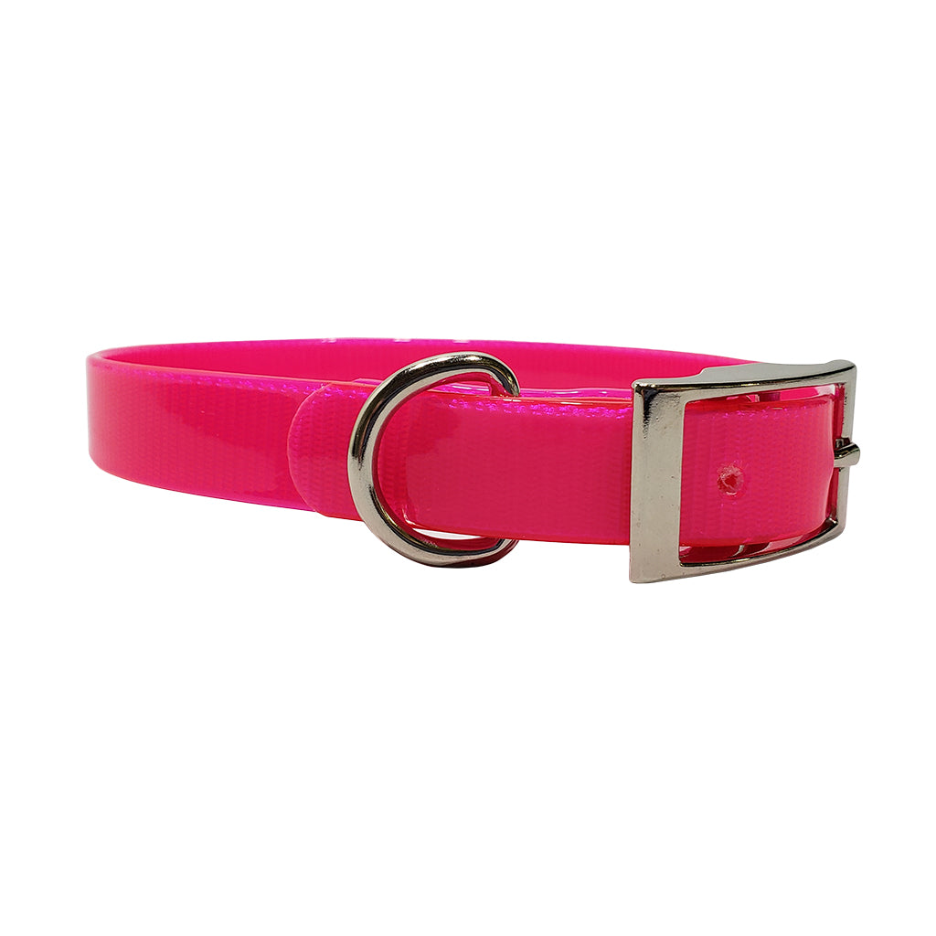 LCS Dayglo 3/4 Inch D-Ring Collar