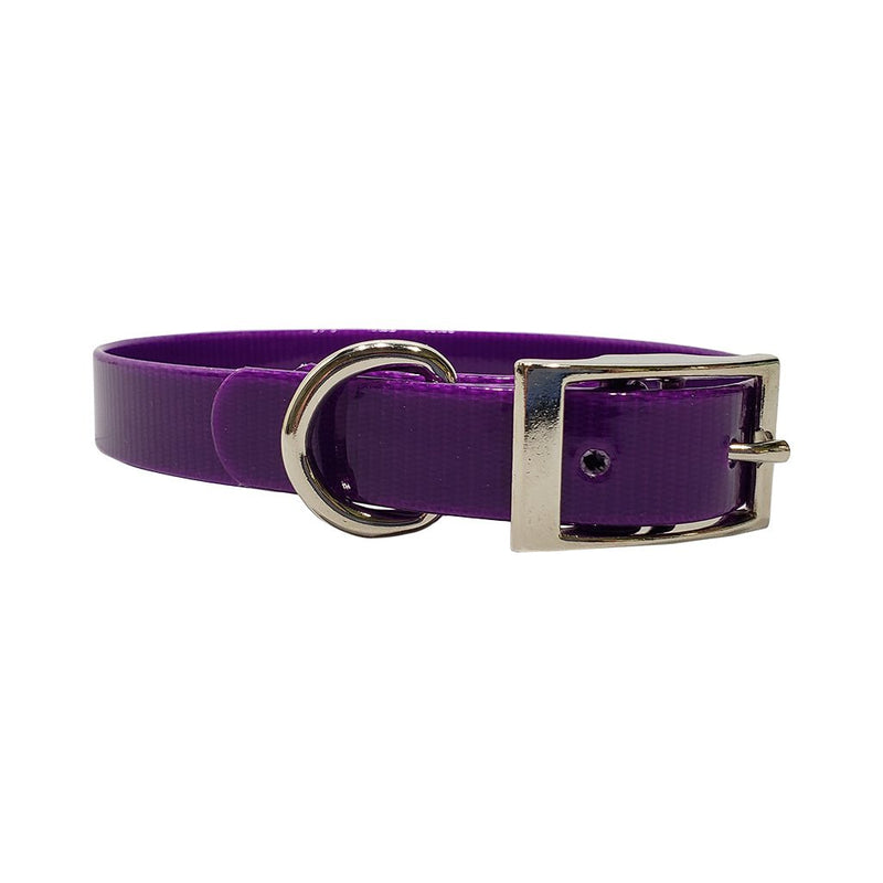 LCS Dayglo 3/4 Inch D-Ring Collar