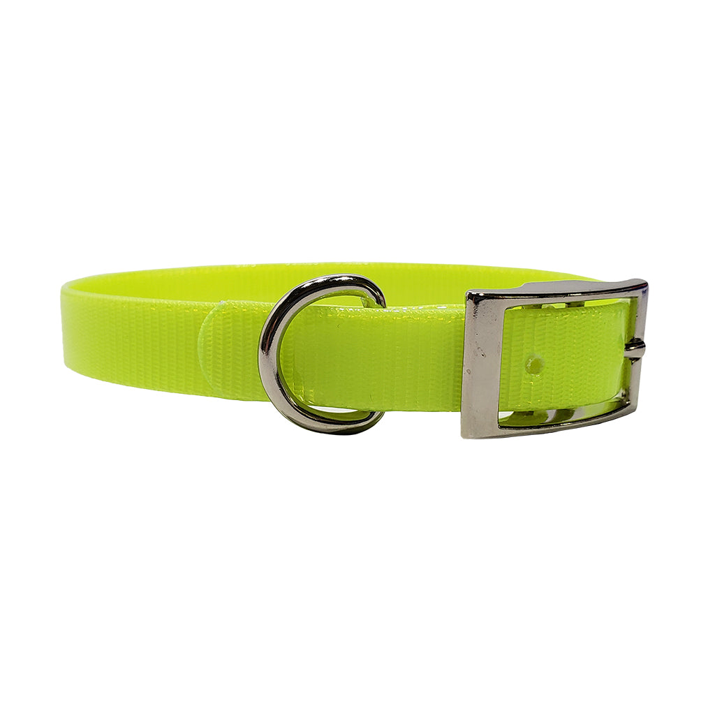 LCS Dayglo 3/4 Inch D-Ring Collar