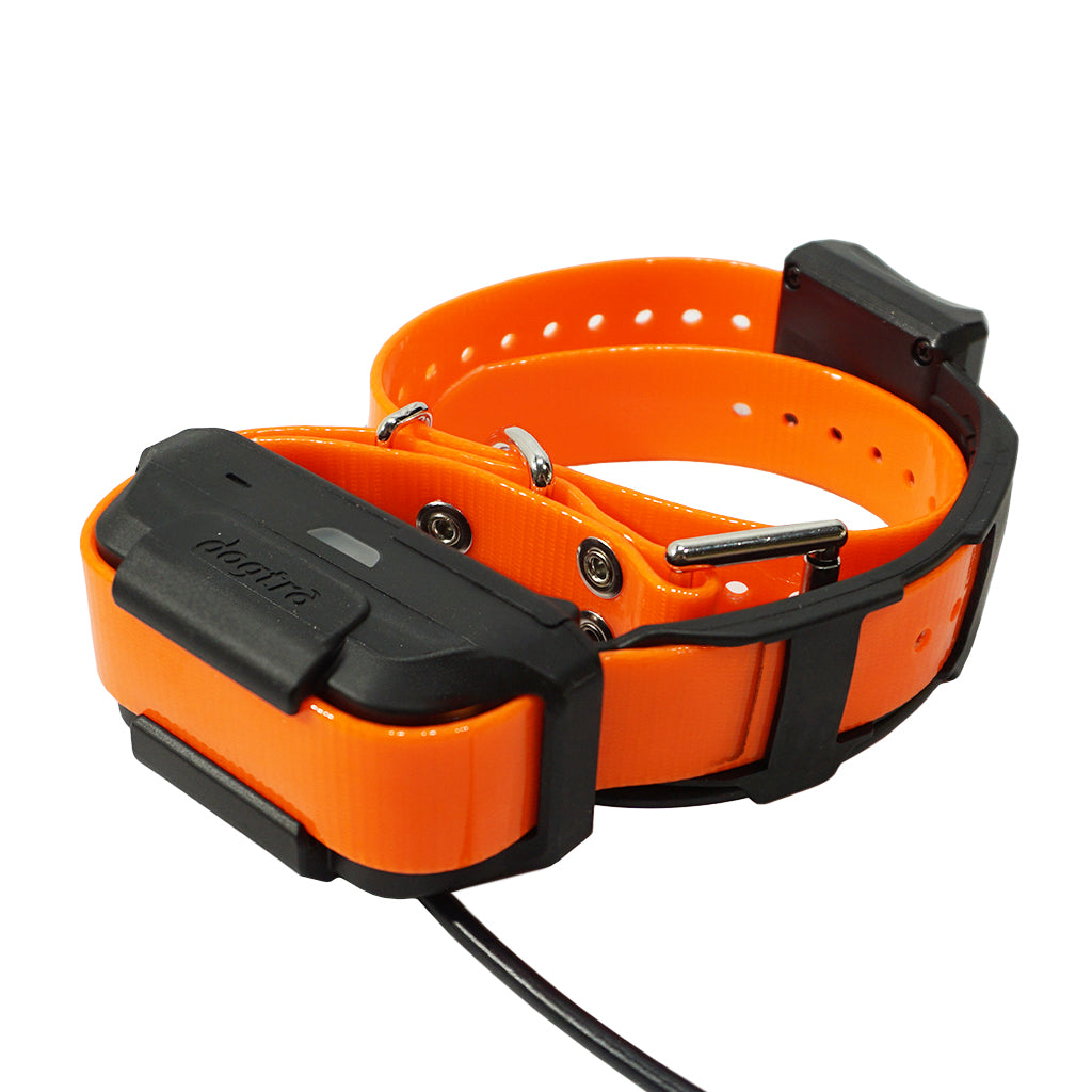 Dogtra Pathfinder RX Additional Collar