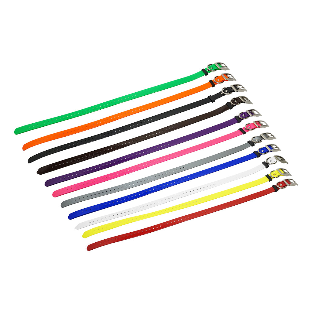 3/4 inch E-Collar Replacement Strap