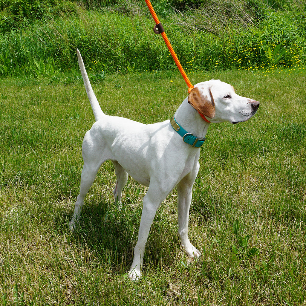 Mendota British Style Slip Lead