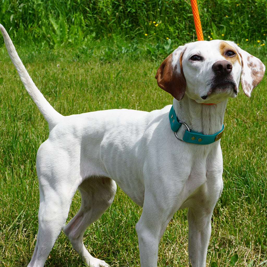 Mendota British Style Slip Lead