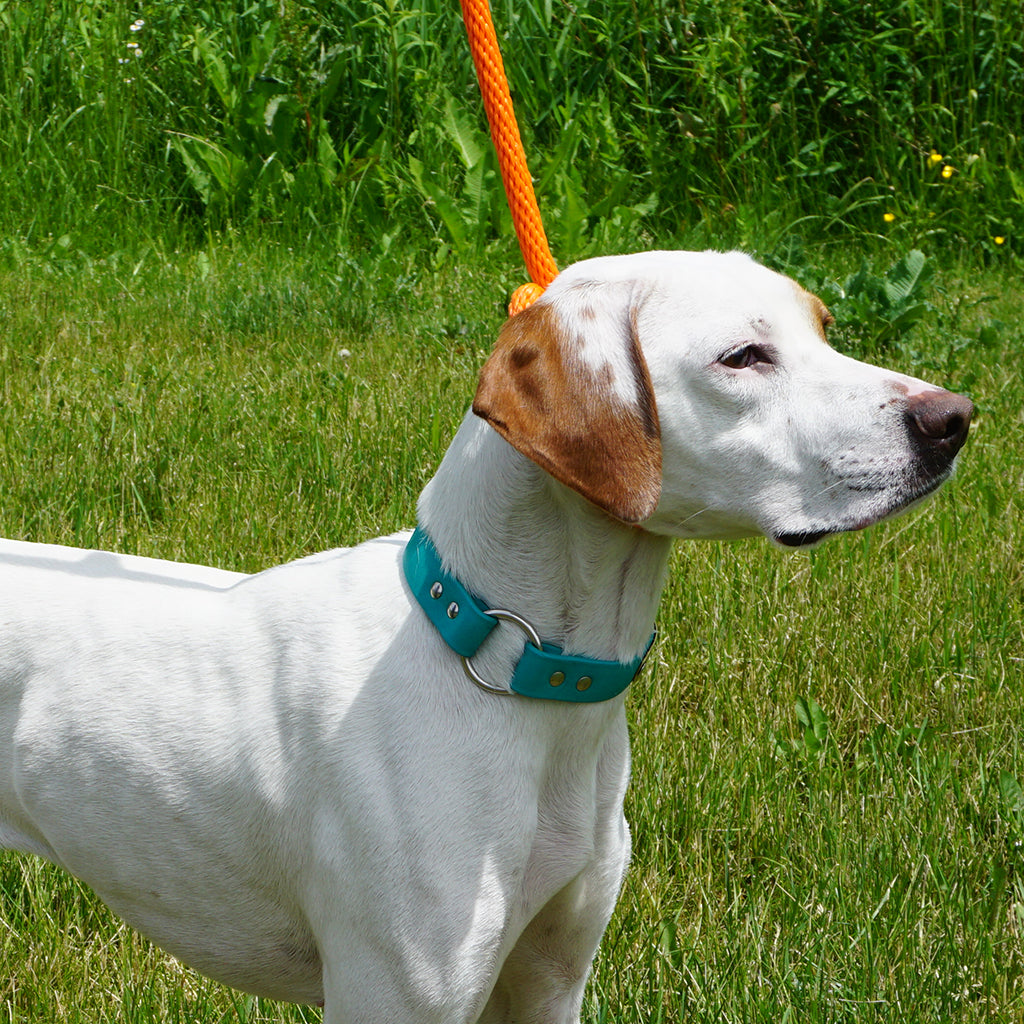 Mendota British Style Slip Lead