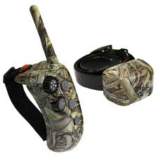 DT Systems DT Systems Rapid Access Pro Trainer 1400 CAMO – Hunting Dog Supply