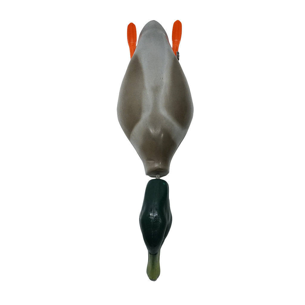 Dokken Dead Fowl Mallard