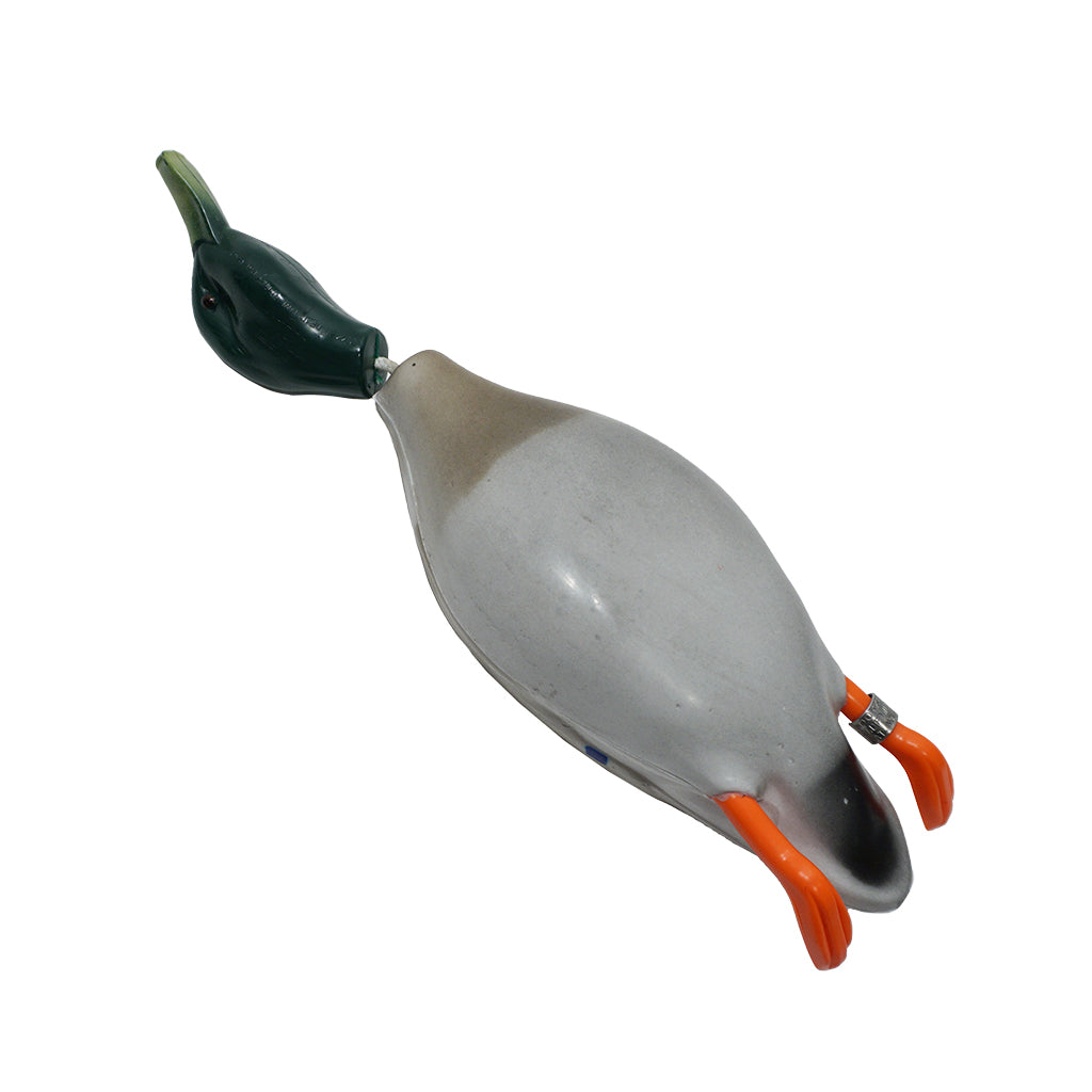 Dokken Dead Fowl Mallard