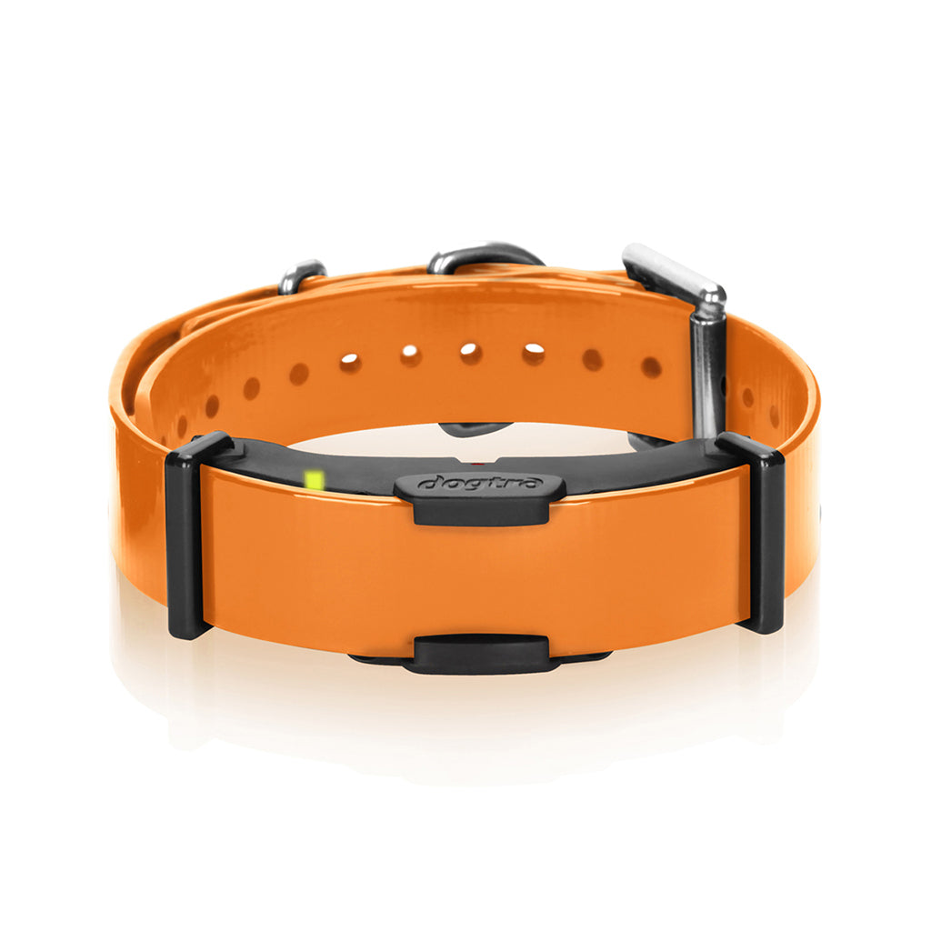 Dogtra Dogtra ARC Extra Collar – Hunting Dog Supply