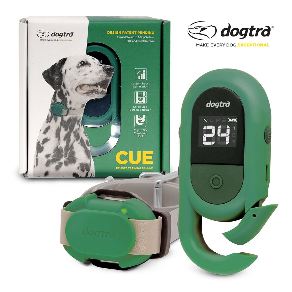 Dogtra System Dogtra CUE E-Collar System