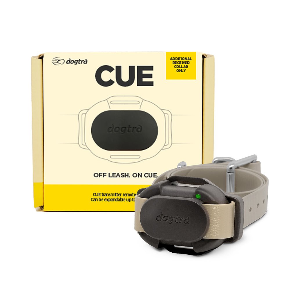 Dogtra Dogtra CUE Extra Collar – Hunting Dog Supply