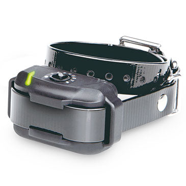 Dogtra Dogtra EF-3500 Extra Collar – Hunting Dog Supply