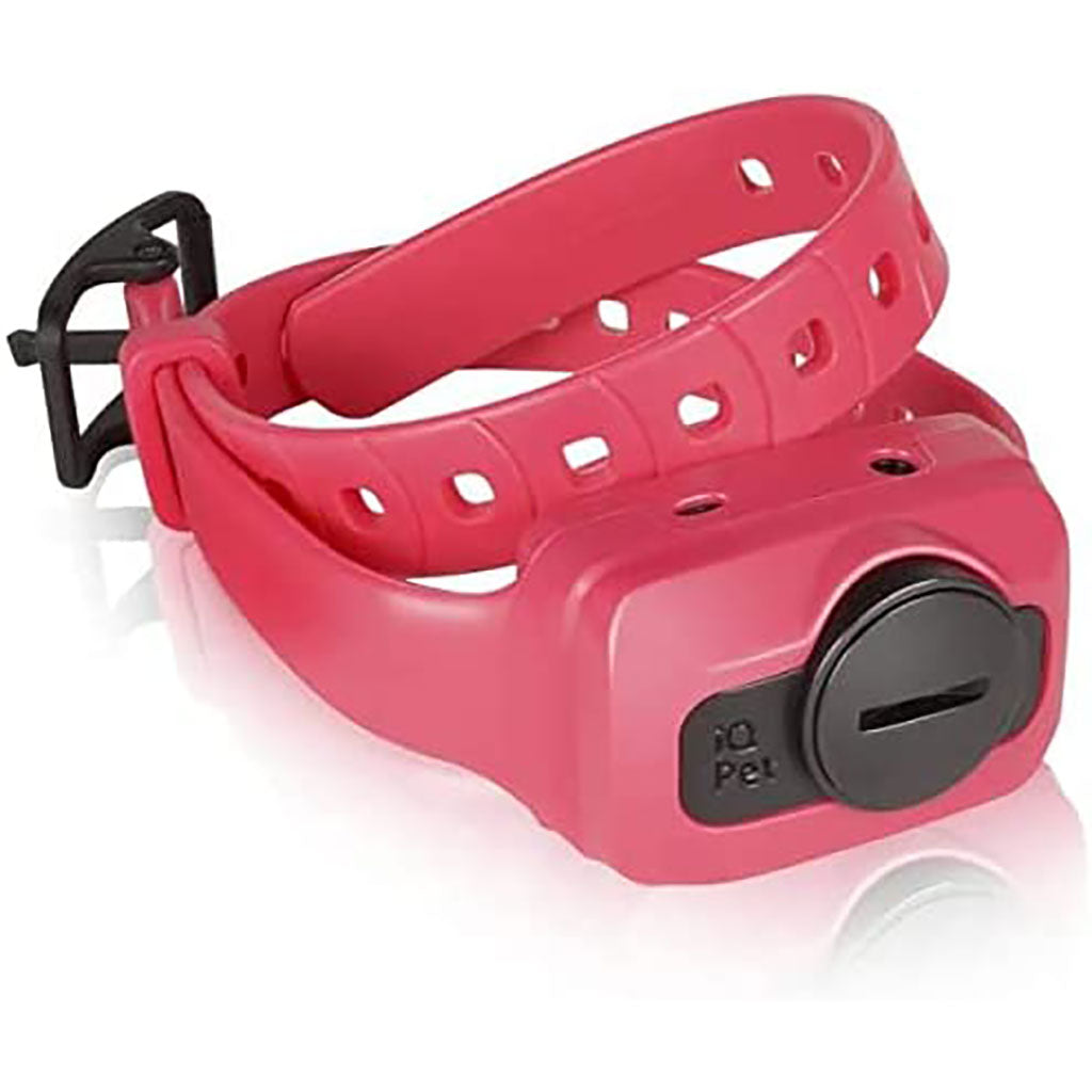 Dogtra Dogtra IQ Cliq Additional Receiver – Hunting Dog Supply