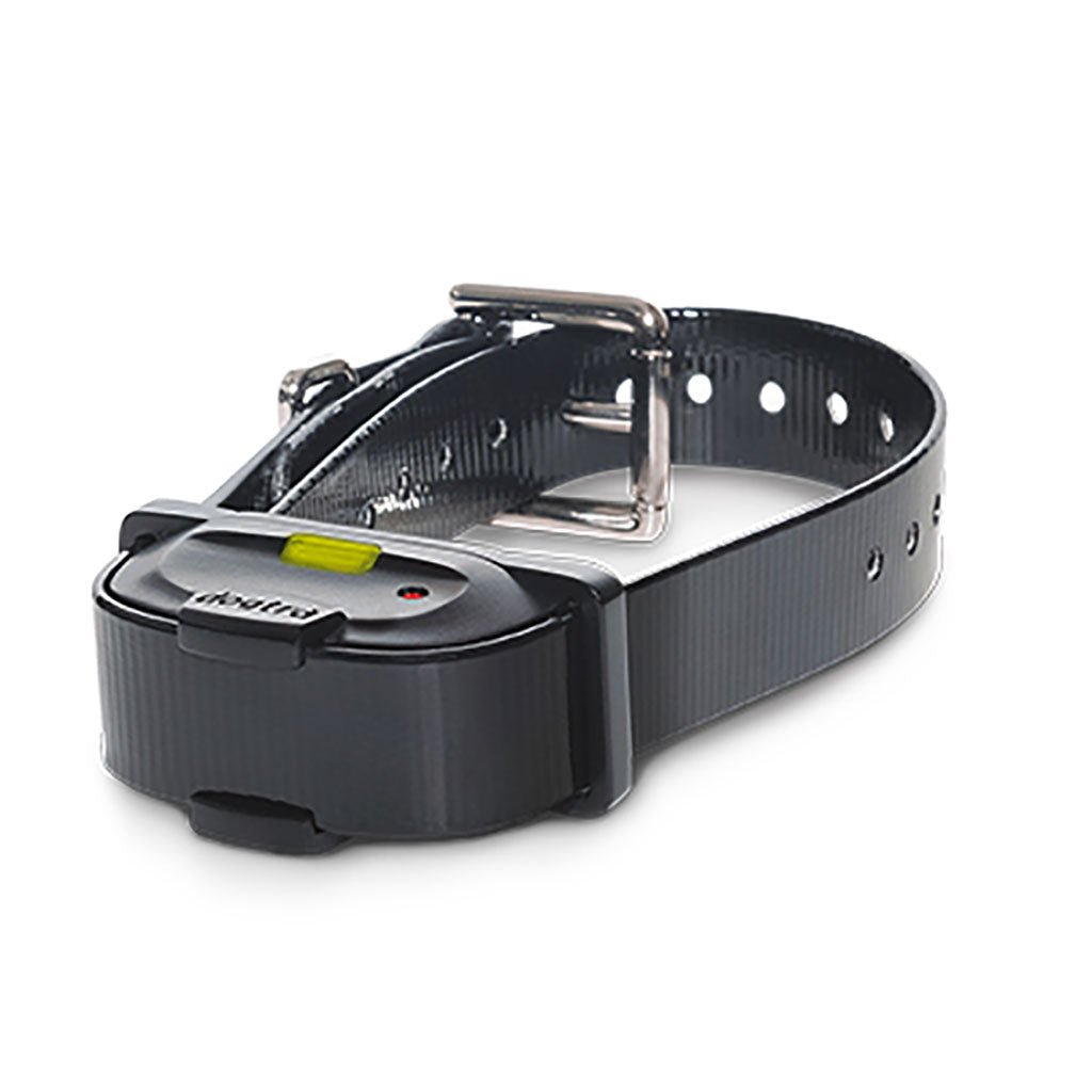 Dogtra Dogtra IQ Mini Extra Collar – Hunting Dog Supply
