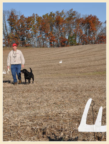 Dokken Shed Hunting Antler Silhouette