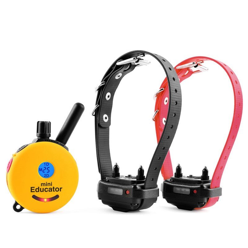 E-Collar Technologies E-Collar Technologies Mini Educator 2 Dog Remote System – Hunting Dog Supply