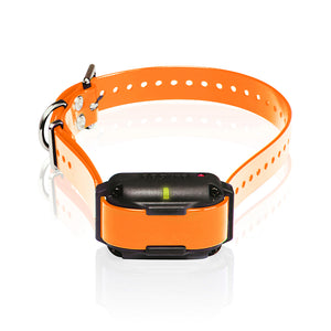 Dogtra Edge RT Collar - E-Collar Dog Training System