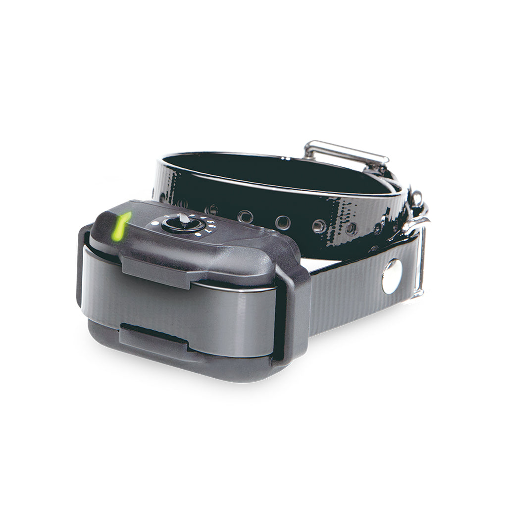 Dogtra EF-3500 Rechargeable Pet Containment System