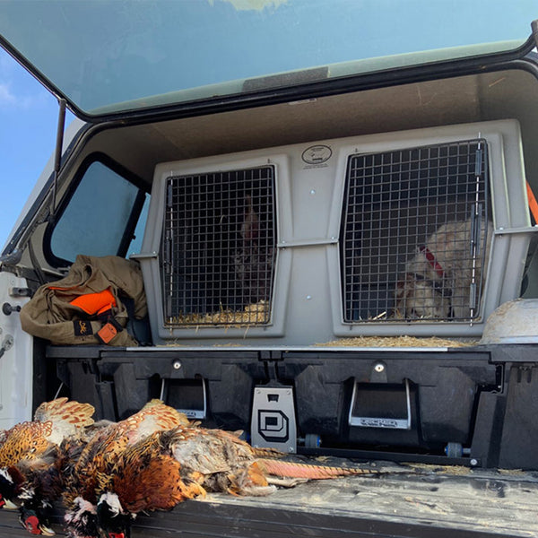 EZXL-2_600x.jpg?v=1757348872