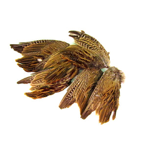 Freeze Dried Pheasant Wings