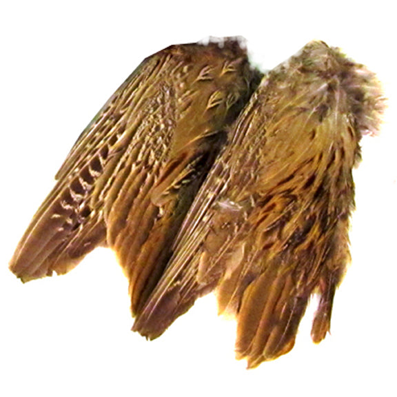 Classic T Designs Freeze Dried Pheasant Wings – Hunting Dog Supply
