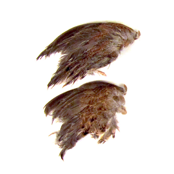 Classic T Designs Freeze Dried Quail Wings – Hunting Dog Supply