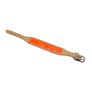 LCS Field Trial Collar