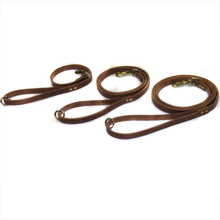 Omnipet LCS Grand National Lead – Hunting Dog Supply