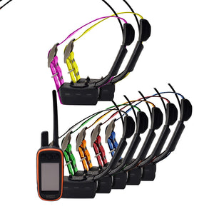 Garmin Alpha 100 TT15X Multi-Dog Bundles