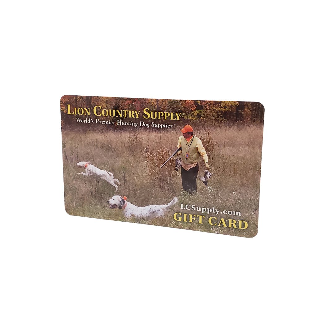 Electronic Gift Card